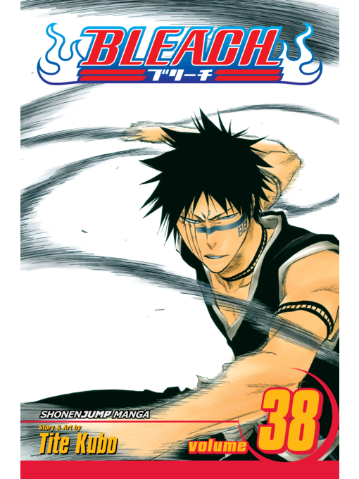 Cover image for Bleach, Volume 38